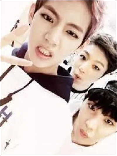 Quel est le maknae dans le groupe BTS ?