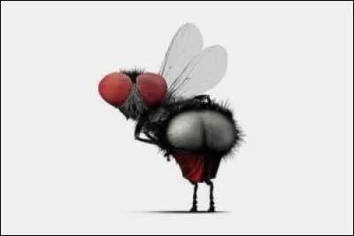 Selon une version, Zeus avala sa première femme qui s'était métamorphosée en mouche. Qui est-elle ?