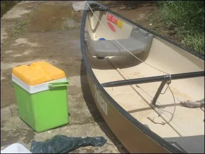 Porteur de collier bien taillé !