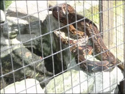 C'est le seigneur des anneaux !