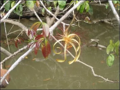 C'est une bombe pour les cousins !