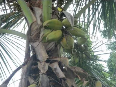 Levée pour sortir !