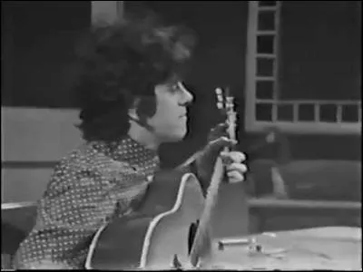 Il est l'interprète de "Sunshine superman". Qui est ce ?