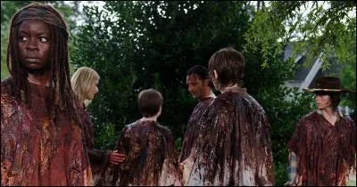 En imbibant du sang sur des vêtements pour cacher leur odeur et échapper aux rôdeurs, Carl perd un il. Qui le lui fait perdre ?