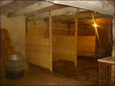 Qu'est-ce que la stalle ?