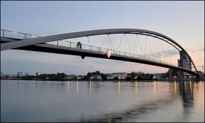La passerelle des trois pays à Huningue enjambe :