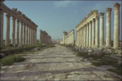 Au cours des siècles, des séismes ont détruit une grande partie de cette ville antique des bords de l'Oronte, mais il reste une superbe colonnade. Quelle est cette cité ?