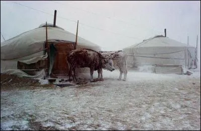 Avec une température moyenne de -26°C en janvier, je veux donc parler de la capitale la plus froide du monde, c'est :