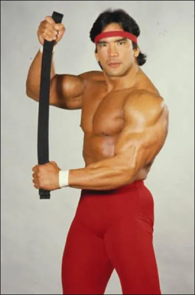 Complétez : Ricky " ... " Steambot