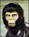 Qui est ce singe que l'on retrouve dans ' la planète des singes ' de Franklin J. Schaffner ?