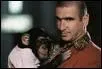 Comment se nomme cette petite guenon accroche aux bras d'Eric Cantona ?
