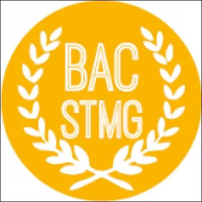 Le Bac STMG est un bac...