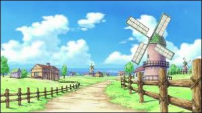 Dans quel village habitait Luffy ?