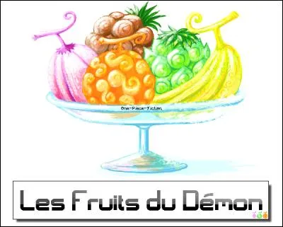 Quel fruit du démon Luffy a-t-il avalé ?
