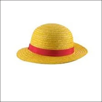 Quelles sont les personnes à avoir obtenu ce chapeau avant Luffy ?