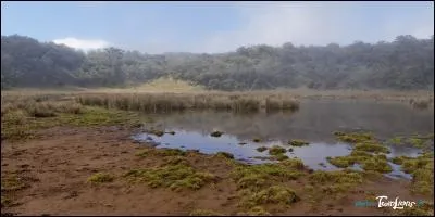 Pour finir ce voyage,allons ensemble sur l'île de la Réunion.