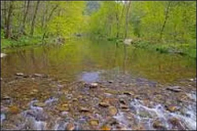L'atmosphère est propice à la magie. Tous peuvent aussi espérer voir apparaître Mélusine dans le bois. Quelle essence principale y pousse ?