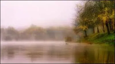 À l'aube, les voiles de brume s'étendent en tissues blèmes au dessus des vallées.
Combien y a-t-il de fautes ?