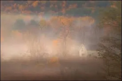 Que fait la brume du fond des prés ?