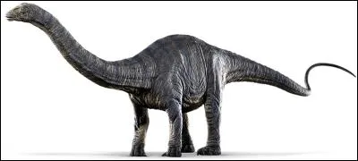 Qu'arrive-t-il aux Apatosaurus ?