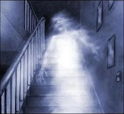 Ce mot d'origine allemande désigne un phénomène paranormal, lié à des déplacements d'objets, des apparitions ou encore des bruits non identifiés. Il s'agit d'un :