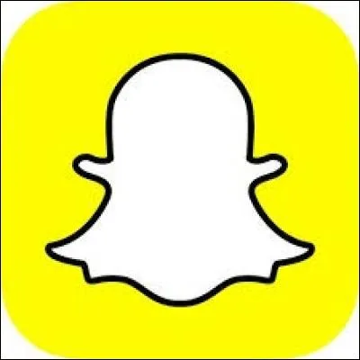 Le logo ci-contre est celui d'une application permettant le partage de photos et de vidéos sur les mobiles. Vous me citerez :