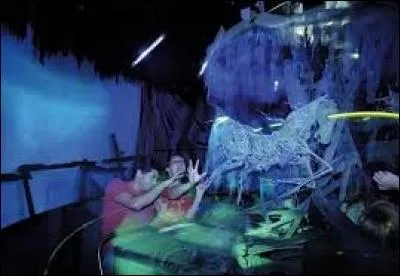 Voici une attraction typique de fête foraine, où votre voyage est censé vous filer les chocottes... C'est bien sûr :