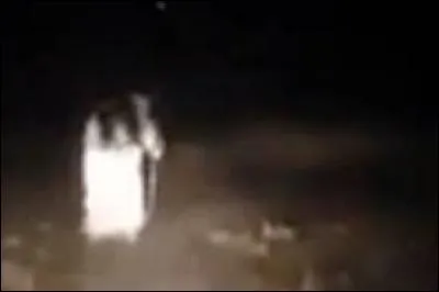 Selon certains mythes et légendes, on raconte que la silhouette brumeuse d'une femme vêtue de blanc, apparaitrait parfois la nuit en bordure de route ou de forêt... Ce soi-disant fantôme porte l'appellation de :