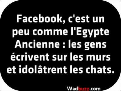 Le dieu Horus a une tête de faux con !