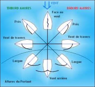 Quelles sont les différentes allures ?