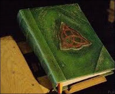 Qui a pu prendre le livre des ombres ?