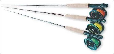 Quelle est cette canne ?