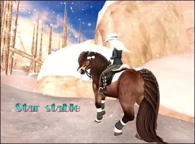 Quelle race de cheval peut aller à la vallée Dino sans avoir froid ?