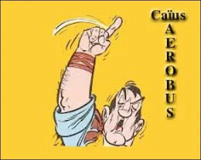 Centurion du camp d'Aquarium et présenté sous les traits de Lino Ventura, Caïus Aérobus apparaît dans l'album