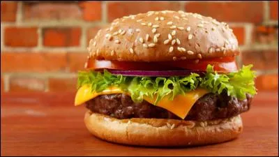 De quel pays l'hamburger est-il originaire ?