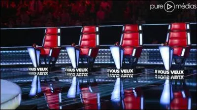 Qui a gagné The Voice 2016 ?