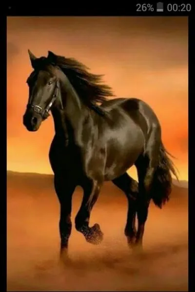 Pour nettoyer une litière il faut :