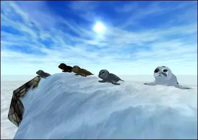 Comment peut-on transporter un animal de compagnie ?