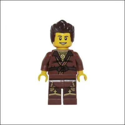 Qui est le Ninja marron?
