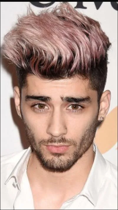 Qui est ce chanteur ?