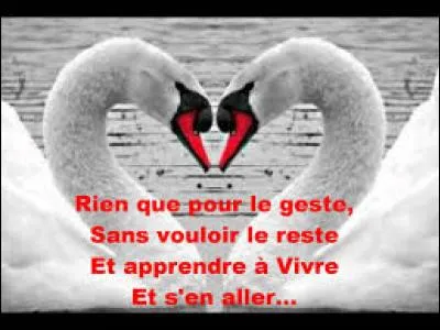 Qui chante "Savoir Aimer" en 1997 ?