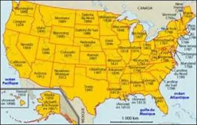 Qu'organise la constitution américaine?