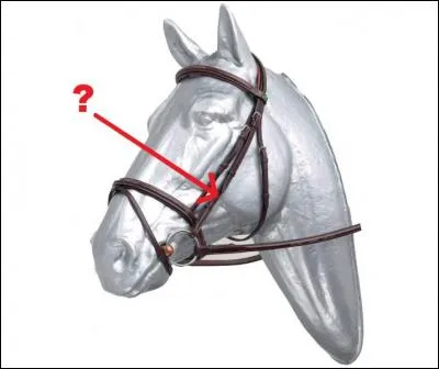 Quelle est cette partie du filet ?