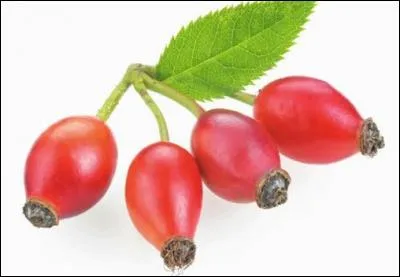 A quel arbre appartient ce fruit ?