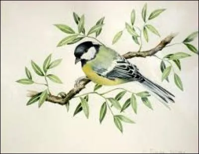 Histoire. Domestique indigène dans les colonies :