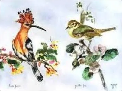 Marque l'étonnement, la négation, l'insouciance :