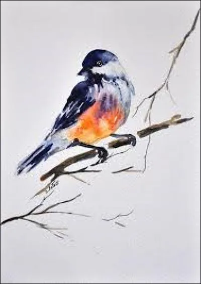 Pour l'OMS, individu âgé de 10 à 19 ans :