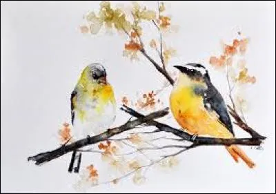 Participe passé du verbe "agir" :