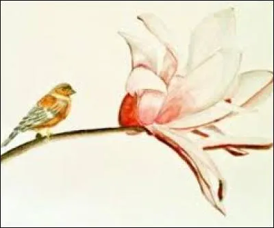 Grand bateau plat, qui est principalement destiné à passer les gens, les animaux, les voitures, etc. d'un bord d'une rivière à l'autre :