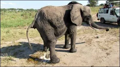 Quand je voit la fixion des éléments, immédiatement, je suis pris de livides pensées.